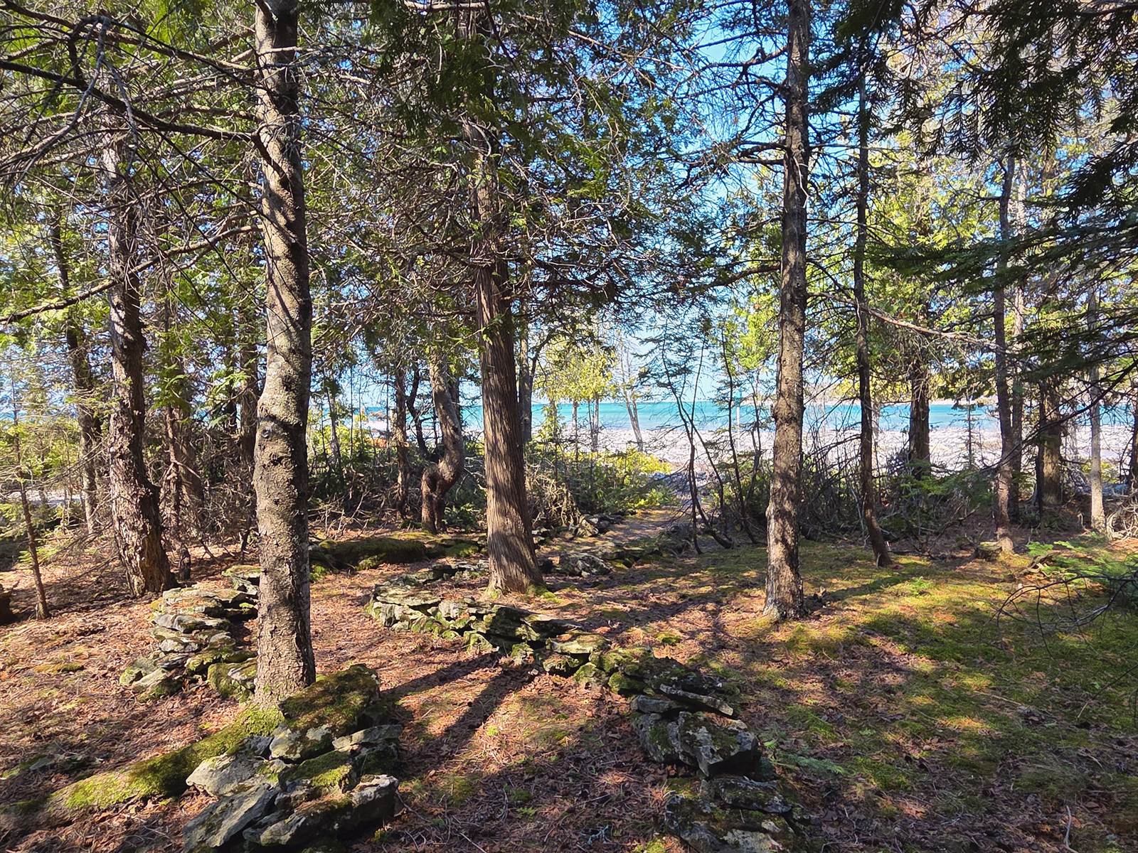 Mossy cedar path leading down to a white cobble beach and blue water
