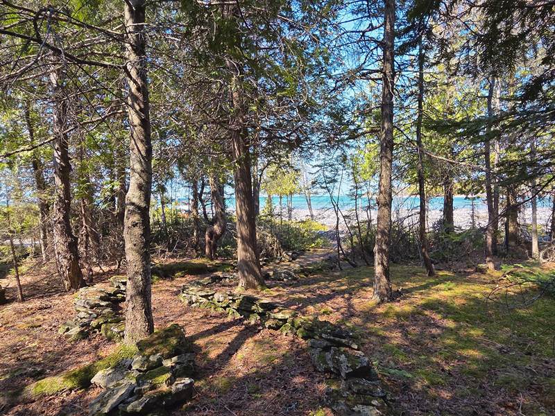 Footpath through cedar woods with moss-covered limestone and a glimpse of white beach and blue water