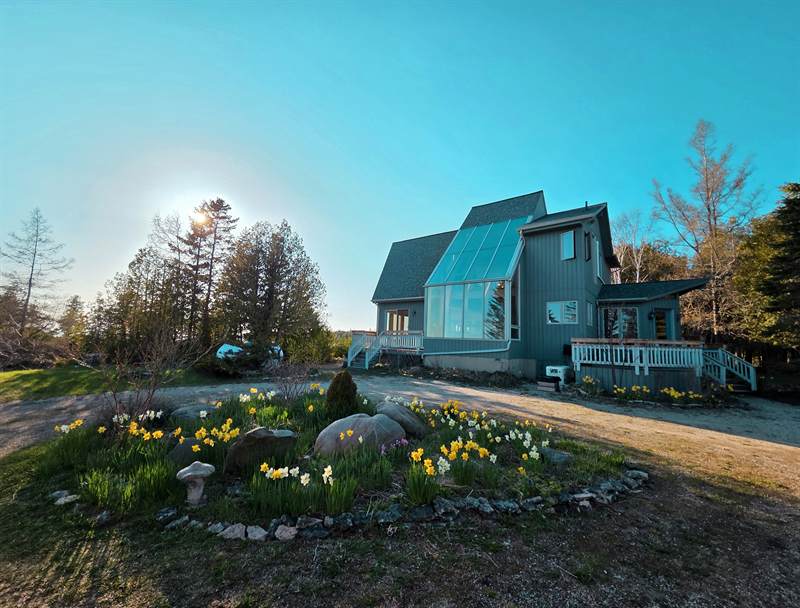 Blue-grey cottage with tall angled sunroom glazing, white deck rails and a daffodil rock garden in front